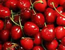 Cherries