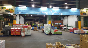 Click to enlarge: Company directors