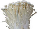 Enoki