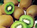 Kiwifruit