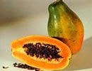 Papaya