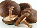 Shiitake
