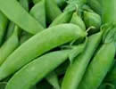 Sugar Snaps