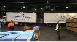 Click to enlarge: Transportation