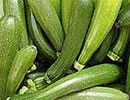 Zucchini